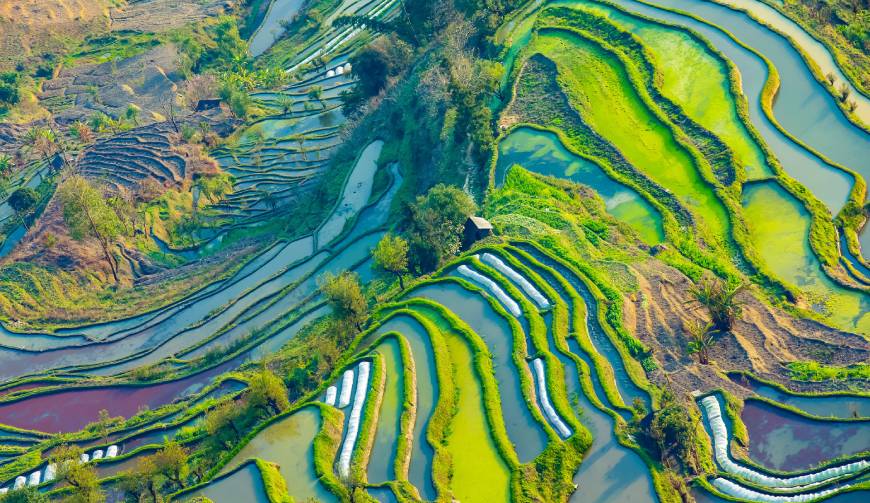 宝妈必备神器：新兴区产品视频拍摄轻松育儿好帮手