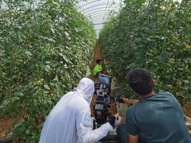 新兴区产品宣传视频拍摄公司进阶指南，助力品牌抢占传播高地